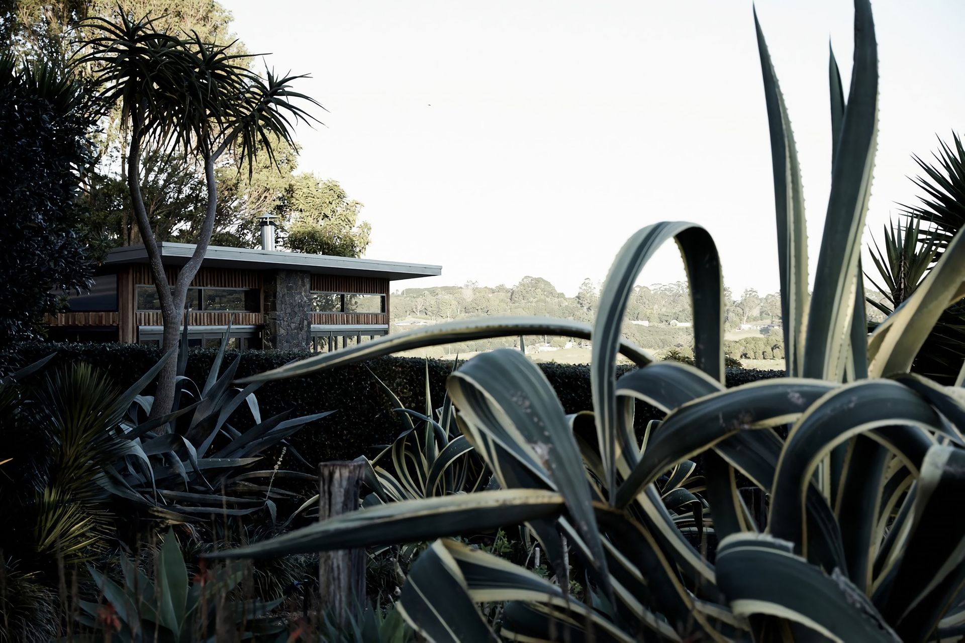 The Top Byron Bay Accommodation | Byron Bay Luxury Homes