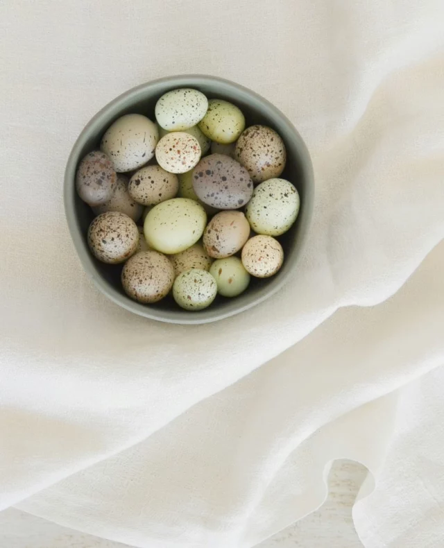 Wishing you a very Happy Easter from the team at Byron Bay Luxury Homes! 🐣